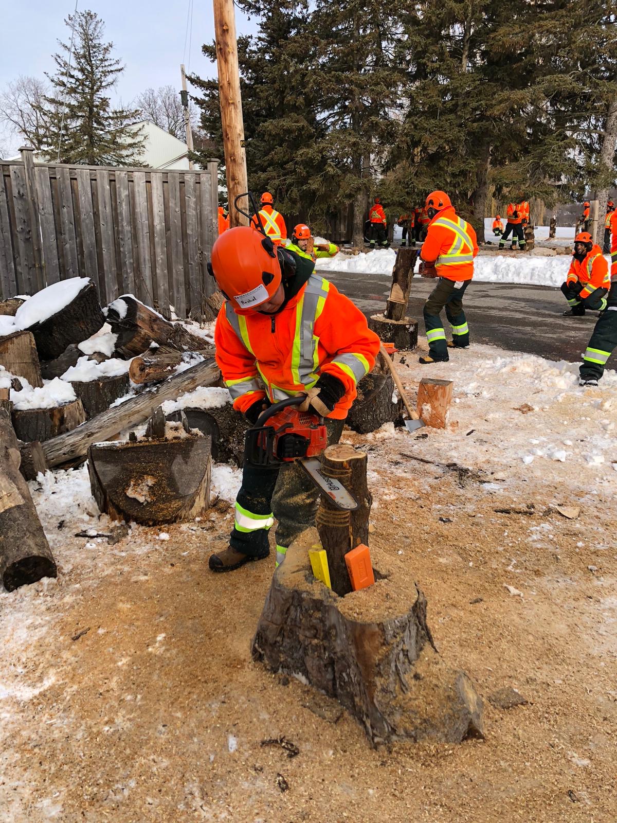 worker with chainsaw in hard hat and safety coat cutting log