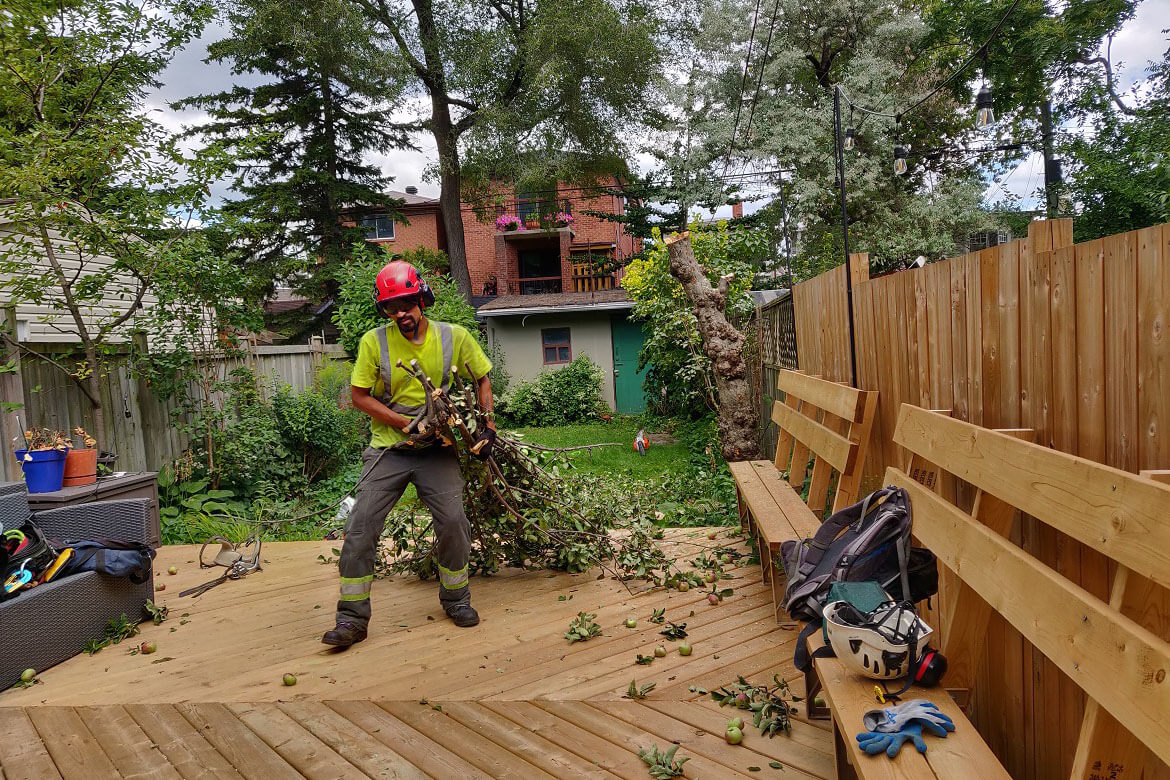 adult worker cutting trees