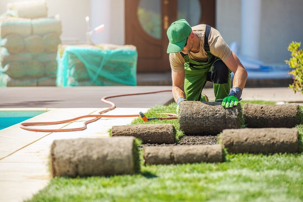 professional landscaper installing new grass turfs