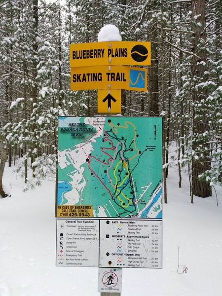 Blueberry Plains Skating Trail map