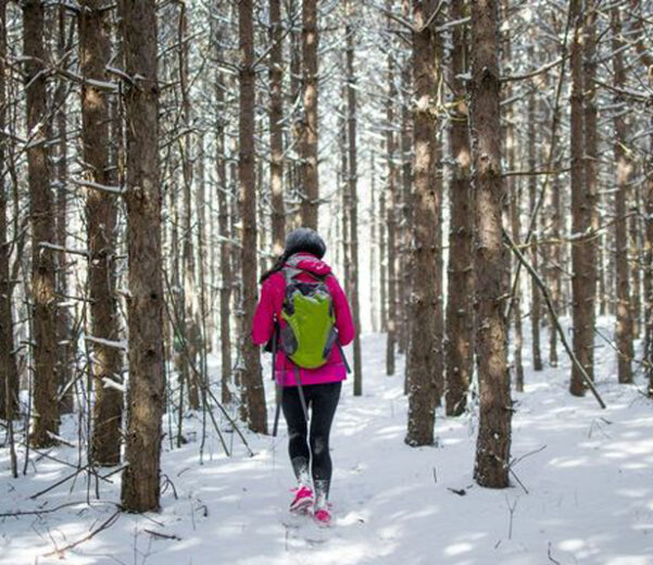 A woman hiking through the woods during the winter