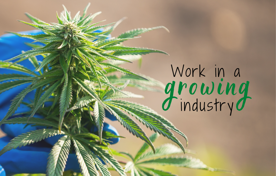 Work in a growing industry