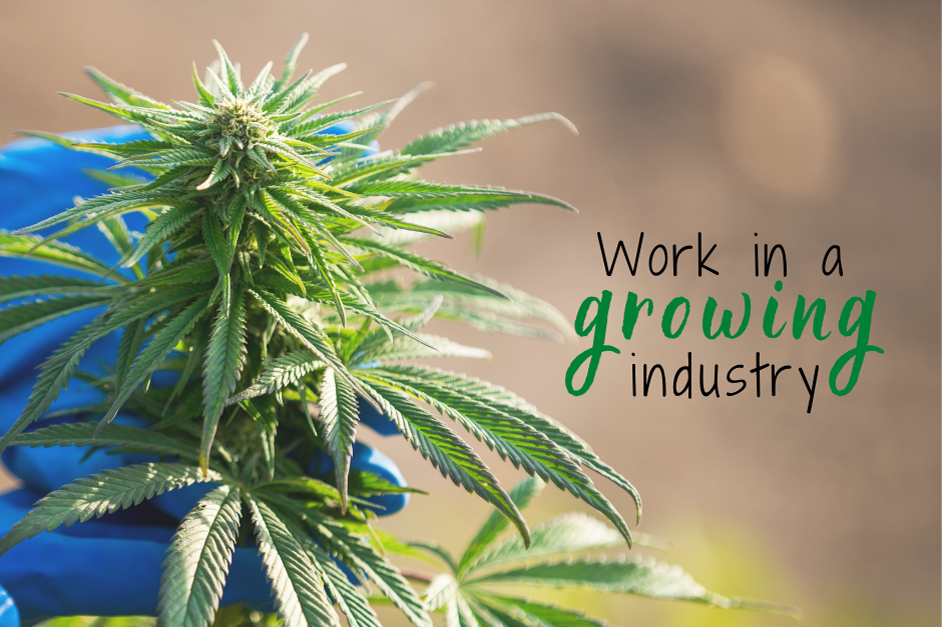 Work in a Growing industry