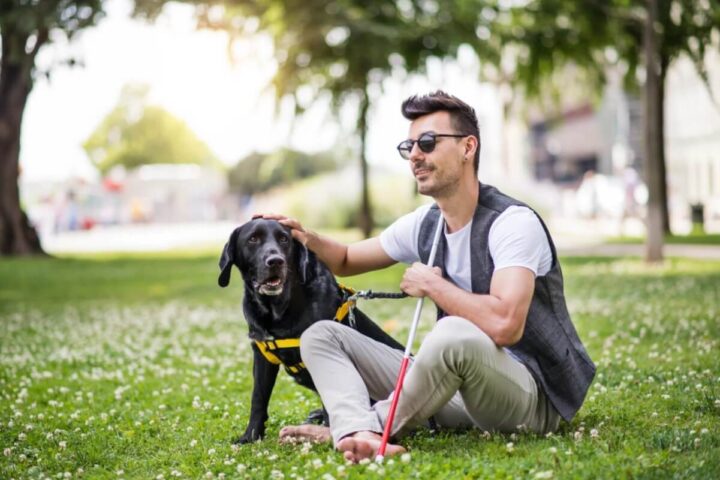 Young Blind Man with White Cane and Guide Dog